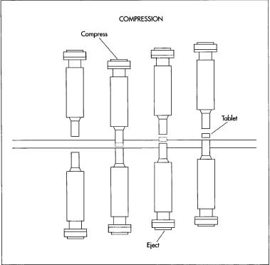 This drawing illustrates the principle of compression in a single-punch machine. First, the aspirin mixture is fed into a dye cavity. Then, a steel punch descends into the cavity and compresses the mixture into a tablet. As the punch retracts, another punch below the cavity rises to eject the tablet.