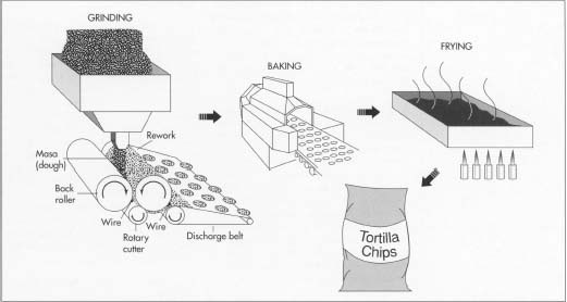 The washed solution is ground using two matched carved stones, one stationary and the other rotating. From there, the resulting coarse masa is cut into actual chips. The masa is fed onto a pair of smooth rollers, usually coated with Teflon, one rotating counterclockwise and the other clockwise. The masa is forced between the rolls, cut, and discharged into the oven for baking. After frying and seasoning, the chips are packaged accordingly.
