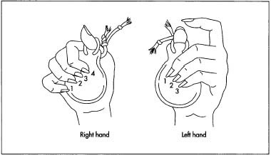 Castanets must be attached to the thumb of each hand by a string and the fingers must be lined up at certain points on the castanets in order to properly play the instrument.