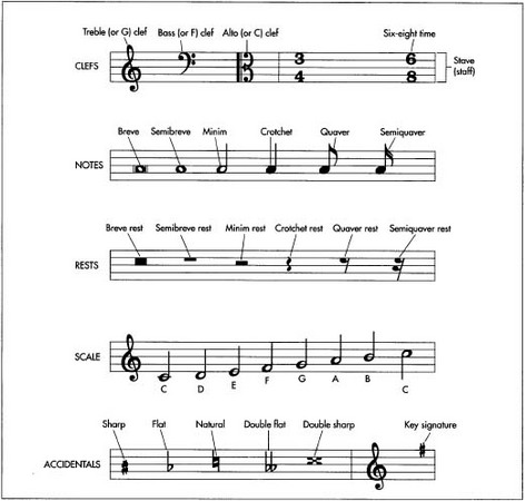 Types of musical notation.