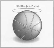 A typical basketball is 30-31 in (75-78 cm) in circumference.