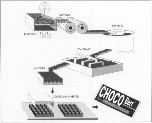 In chocolate manufacture, the cocoa beans are first roasted, during which the bean shells break away from their center (the nibs). Next, the nibs undergo broyage, a crushing process that takes place in a grinder with revolving granite blocks. The following step, refining, further grinds the particles and makes the chocolate mass smoother. The mass is then conched, or ground and agitated in a huge open vats. During this process, which can take from 3 hours to 3 days, other ingredients such as sugar and vanilla can be added. The mass is then poured into molds of the desired shape, cooled, cut, and wrapped.