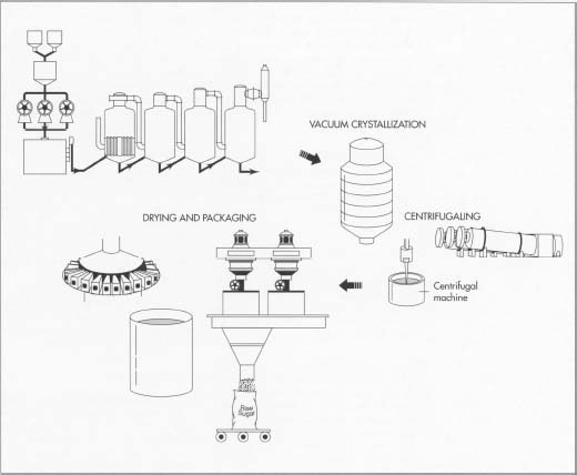 After being purifed, the clear juice undergoes vacuum evaporation to remove most of the water. In this process, four vacuum-boiling cells are arranged in series so that each succeeding cell has a higher vacuum. The vapors from one body can thus boil the juice in the next one, a method called multiple-effect evaporation. Next, the syrupy solution is vacuum-crystallized to form sugar crystals. The remaining liquid is removed using centrifugaling and drying, and the sugar is packaged.