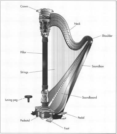 A modern concert harp stands about 70-75 in (1.8-1.9 m) high, is about 40 in (1 m) wide, weighs about 70-90 lb (32-41 kg), and has 47 strings, ranging in size from a few inches to several feet in length.