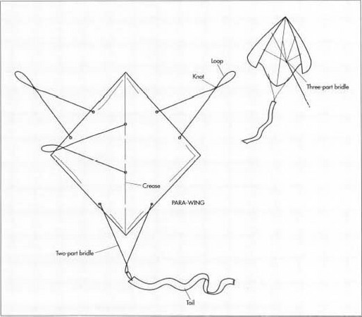 The para-wing kite is a seemingly simple kite, consisting of a square of light material (cloth at first, now usually plastic) without any sticks or other parts to hold it in place. Proper length and placement of the cords which make up the bridle enable the para-wing to fly with great stability despite the limpness of its body.