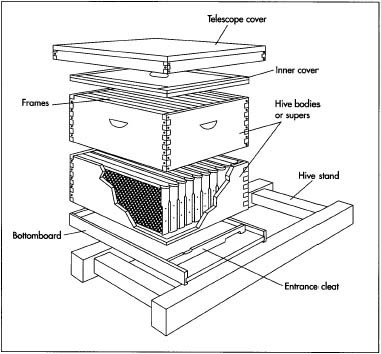 A typical hive used in beekeeping.