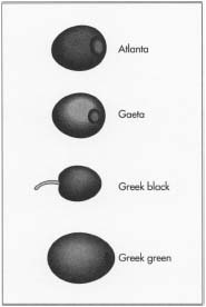 Different types of olives.