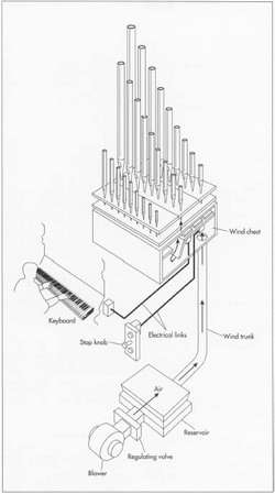 Powered by a rotary blower, a mechanical pipe organ creates sound by linking the console to the valves which control the Row of air to the pipes with cranks, rollers, and levers. The blower moves air through the wind trunk to the wind chest. Stop knobs open and close specific rows of pipes. When a row is open, the air can flow from the wind chest to the pipes as the keyboard is played, creating sound.