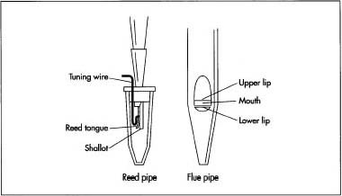 Pipe orgons utilize two types of pipes. About four-fifths of the pipes in a typical pipe organ are flue pipes. A flue pipe consists of a hollow cylinder with an opening in the side of the pipe. The rest of the pipes are reed pipes. A reed pipe consists of a hollow cylinder, containing a vibroting strip of metal, connected to a hollow cone.
