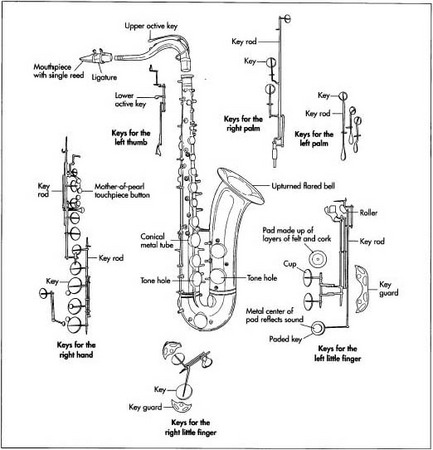 A tenor saxophone and its parts.