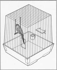 A standard bird cage.