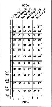 Note positions on an electric guitar.