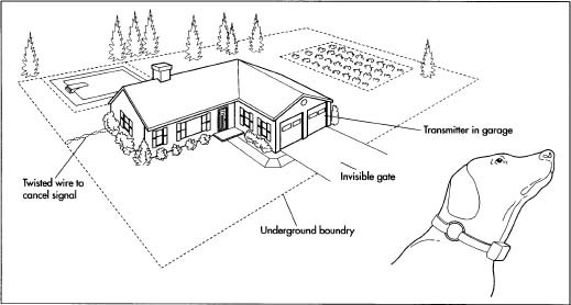 A layout of a yard using an underground pet fence system and an example of a collar on a dog.